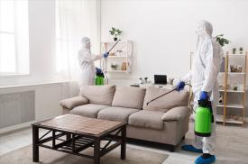 Sosmed jasa fogging rumah